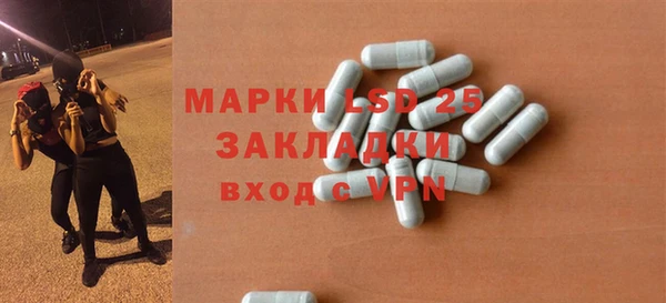 шишки Горняк
