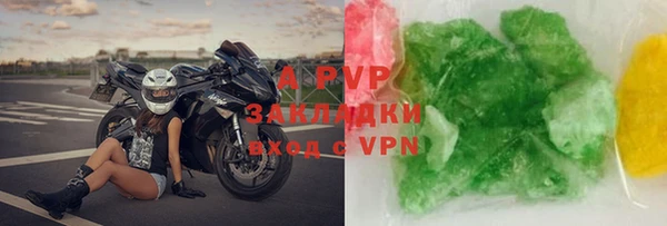 шишки Горняк