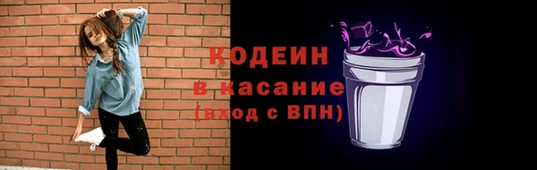 шишки Горняк