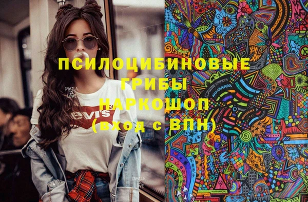 шишки Горняк