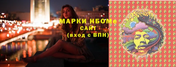 шишки Горняк