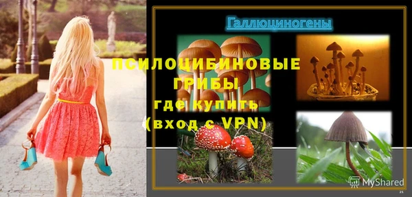 шишки Горняк