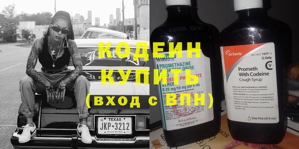 шишки Горняк