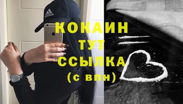 шишки Горняк