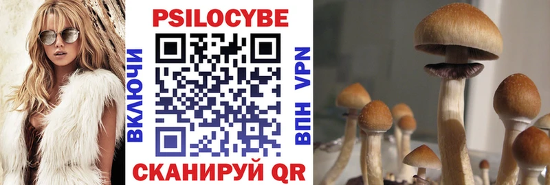 Галлюциногенные грибы MAGIC MUSHROOMS  Ельня 